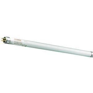 Tube Fluorescent