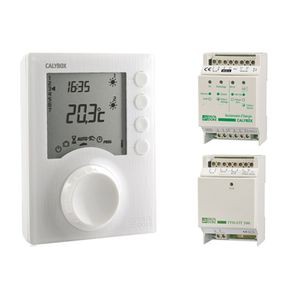 Delta Dore Calybox 120 WT Gestionnaire d'énergie 2 zones pour chauffage électrique