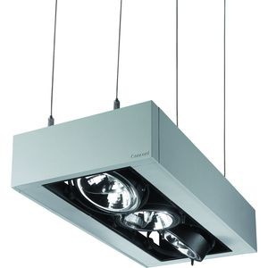 Lyteframe Suspendu 2xBS ES111 70W GX10