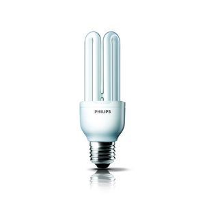 Lampe fluocompacte, genie esaver dimmable 10 000 h,  18w,  warm white