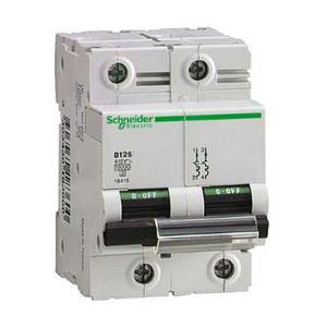 Schneider Electric Disjoncteur C120H 2P 100A Courbe D 15000A