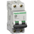 Schneider Electric Disjoncteur Modulaire Multi 9 - C60L - 2 Pôles - 6 A - Courbe B