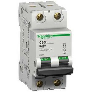 Schneider Electric Disjoncteur Modulaire Multi 9 - C60L - 2 Pôles - 10 A - Courbe B