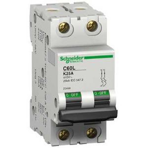 Schneider Electric Disjoncteur Modulaire Multi 9 - C60L - 2 Pôles - 1 A - Courbe K