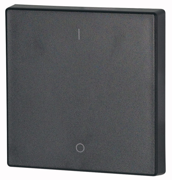 Bouton à bascule, simple, i/0, anthracite (CWIZ-01/14)