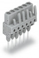 Female connector for rail-mount terminal droit, gris