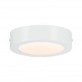 Carpo panneau led warmdim 170mm 10,2w blanc dépoli 230v métal