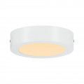 Carpo panneau led warmdim 170mm 10,2w blanc dépoli 230v métal