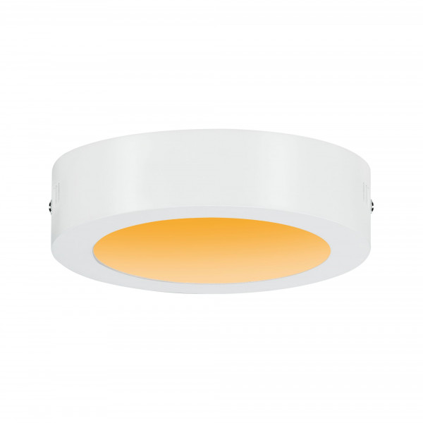 Carpo panneau led warmdim 170mm 10,2w blanc dépoli 230v métal