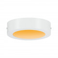 Carpo panneau led warmdim 170mm 10,2w blanc dépoli 230v métal