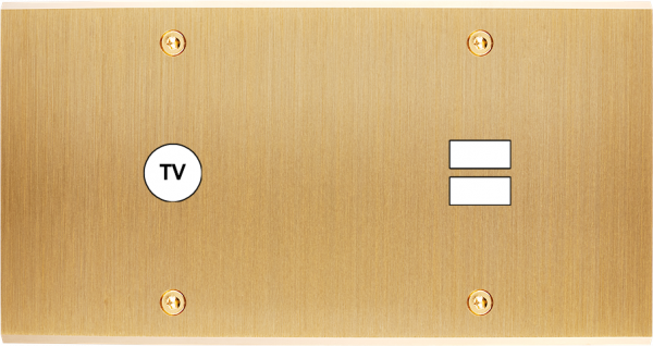 Façade confidence laiton brossé double horizontale 1 tv ouverture pour chargeur double usb à vis