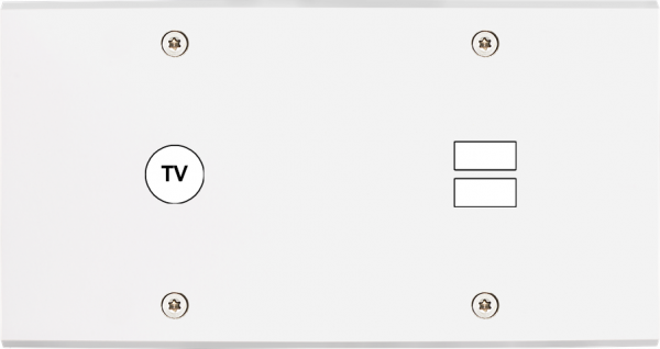 Façade confidence laiton blanc mat double horizontale 1 tv ouverture pour chargeur double usb à vis