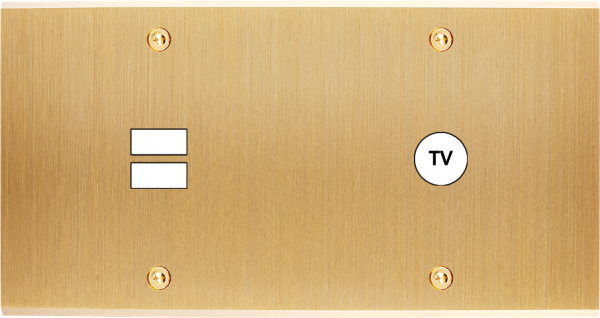 Façade confidence laiton brossé double horizontale ouverture pour chargeur double usb 1 tv à vis
