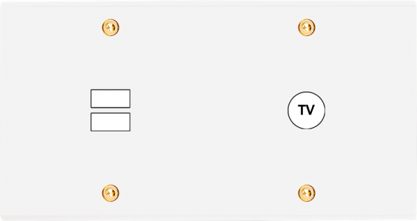 Façade confidence laiton blanc email double horizontale ouverture pour chargeur double usb 1 tv à vis