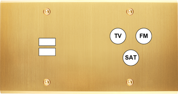 Façade confidence laiton satiné double horizontale ouverture pour chargeur double usb 1 tv-fm-sat à vis