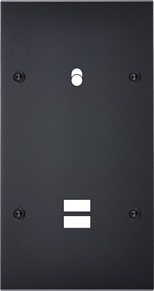 Façade confidence laiton noir mat double verticale 1 basculeur ouverture pour chargeur double usb à vis
