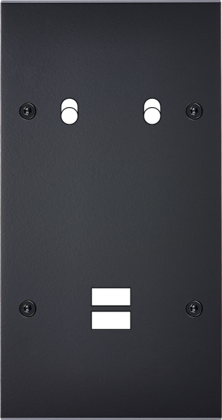 Façade confidence laiton noir mat double verticale 2 basculeurs ouverture pour chargeur double usb à vis