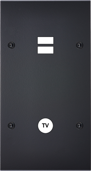 Façade confidence laiton noir mat double verticale ouverture pour chargeur double usb 1 tv à vis