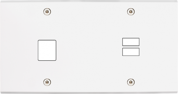 Façade confidence laiton blanc mat double horizontale 1 média ouverture pour chargeur double usb à vis