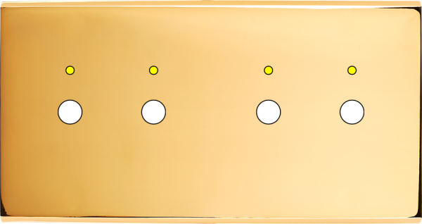 Façade confidence laiton or miroir double horizontale 2 boutons push+led 2 boutons push+led magnétique