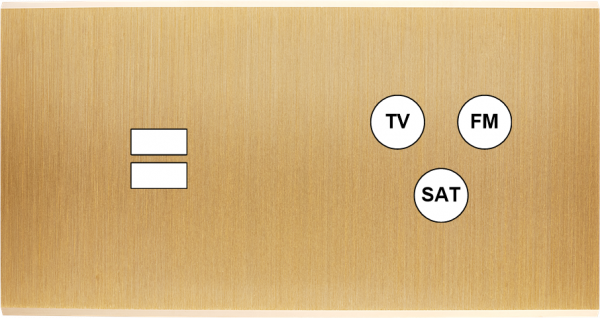 Façade confidence laiton brossé double horizontale ouverture pour chargeur double usb 1 tv-fm-sat 