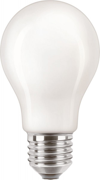 Bulbs - b-brand & pl