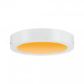 Carpo panneau led warmdim 225mm 13w blanc dépoli 230v métal