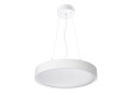 Luminaire surface et suspendu colossal400 21w 2460lm opal blanc 830