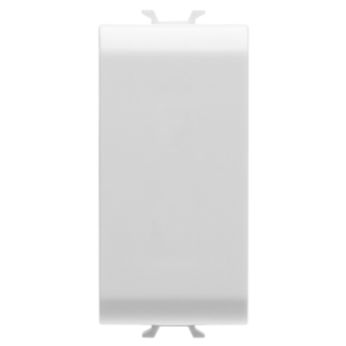 Blanking module - 1 module - white - antibacterial - chorus