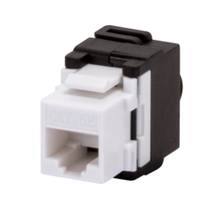 Presa rj45 cat.5e utp toolless