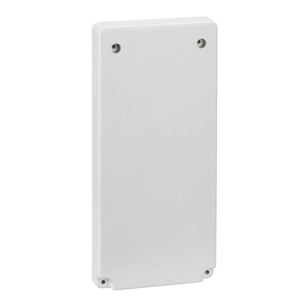 Schneider Electric Accessoire de Coffret Plaque 103 X 225 Mm pour Prise 65 X 65 ou 75 X 75 Mm