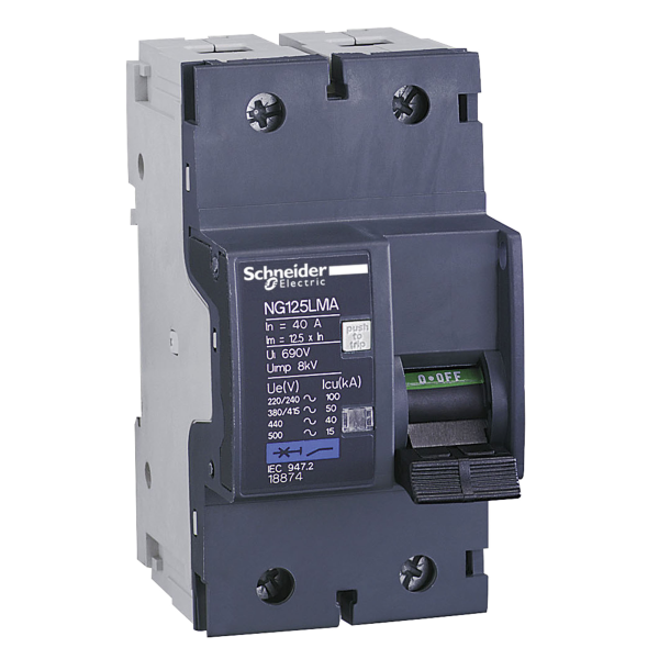 Schneider Electric Disjoncteur Moteur Ng125Lma 10 A 2P 2D Déclencheur Magnétique