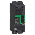 Powerpact b - disjoncteur bd - 18ka 600y/347v - tm15d - 2p - everlink