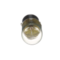 Schneider Electric Lampe de Signalisation à Incandescence Incolore Ba 15D 24 V 6,5 W