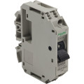 Schneider Electric Disjoncteur pour Circuit de Contrôle Gb2Cb 0.5 A 1P 1D