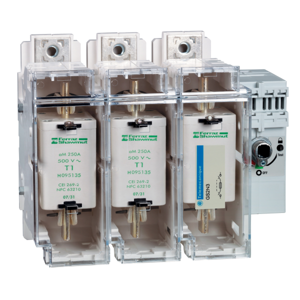 Schneider Electric Interrupteur sectionneur Fusible 3X 250A 1