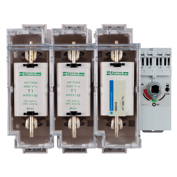 Schneider Electric Interrupteur sectionneur Fusible 3X 250A 1