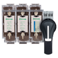 Schneider Electric Interrupteur sectionneur Fusible 3X 250A 1