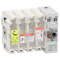 Schneider Electric Interrupteur sectionneur Fusible 4X 250A B1..B3