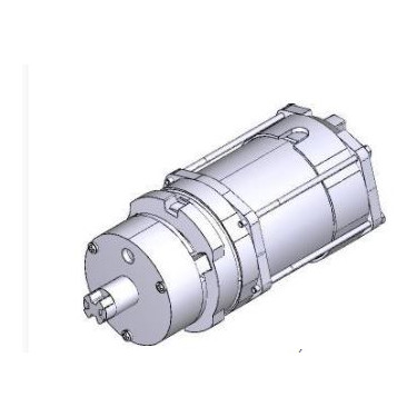 Groupe Moteur avec Frein 230 V Amico Came