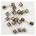 Conditionnement de 10 Fusibles de 1,6 A 5x20 mm Came