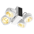 Tec kalu, plafonnier intérieur, quad, angle 60°, blanc/noir, led, 60w, 3000k, variable triac