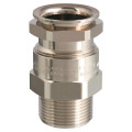 Presse-étoupe ade 1f2 npt 1/4" n°04 en laiton nickelé