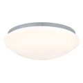 Paulmann wallceiling leonis hf-sensor i