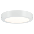 Paulmann wallceiling lunar led panel 22