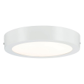 Paulmann wallceiling lunar led panel 22