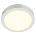 Senser 24, applique et plafonnier intérieur, rond, blanc, led, 15w, 4000k