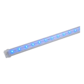 Delf c 500, 24 led bleues, 24v