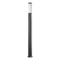 Pole parc 200, borne extérieure, anthracite, led, 50w, 3000k, ip44