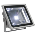 LED OUTDOOR BEAM, GRIS ARGENT, 50W, LED BLANCHE, 130°
